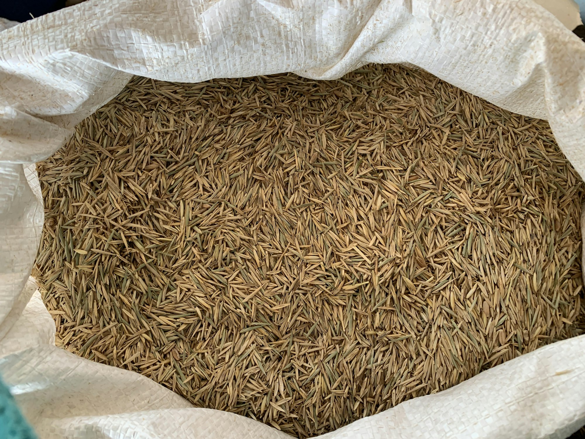 May contain: food, spice, and cumin