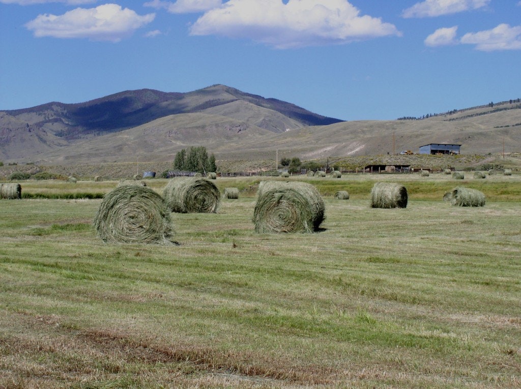 A landscape with round hay bales in a grassy field, surrounded by mountains and a clear blue sky with some clouds.