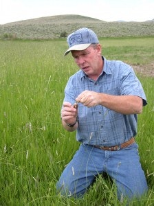 May contain: field, grassland, nature, outdoors, grass, plant, adult, male, man, person, clothing, pants, hat, countryside, accessories, and belt