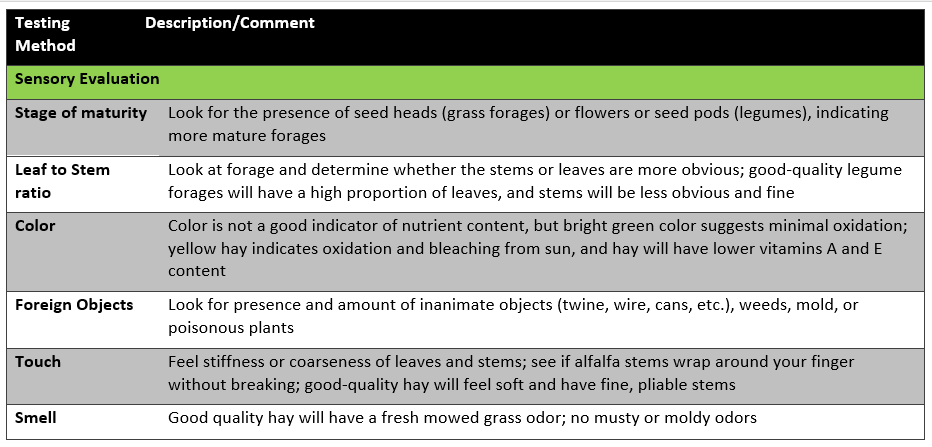 Sensory evaluation chart for hay quality: maturity, leaf-to-stem ratio, color, foreign objects, touch, and smell.