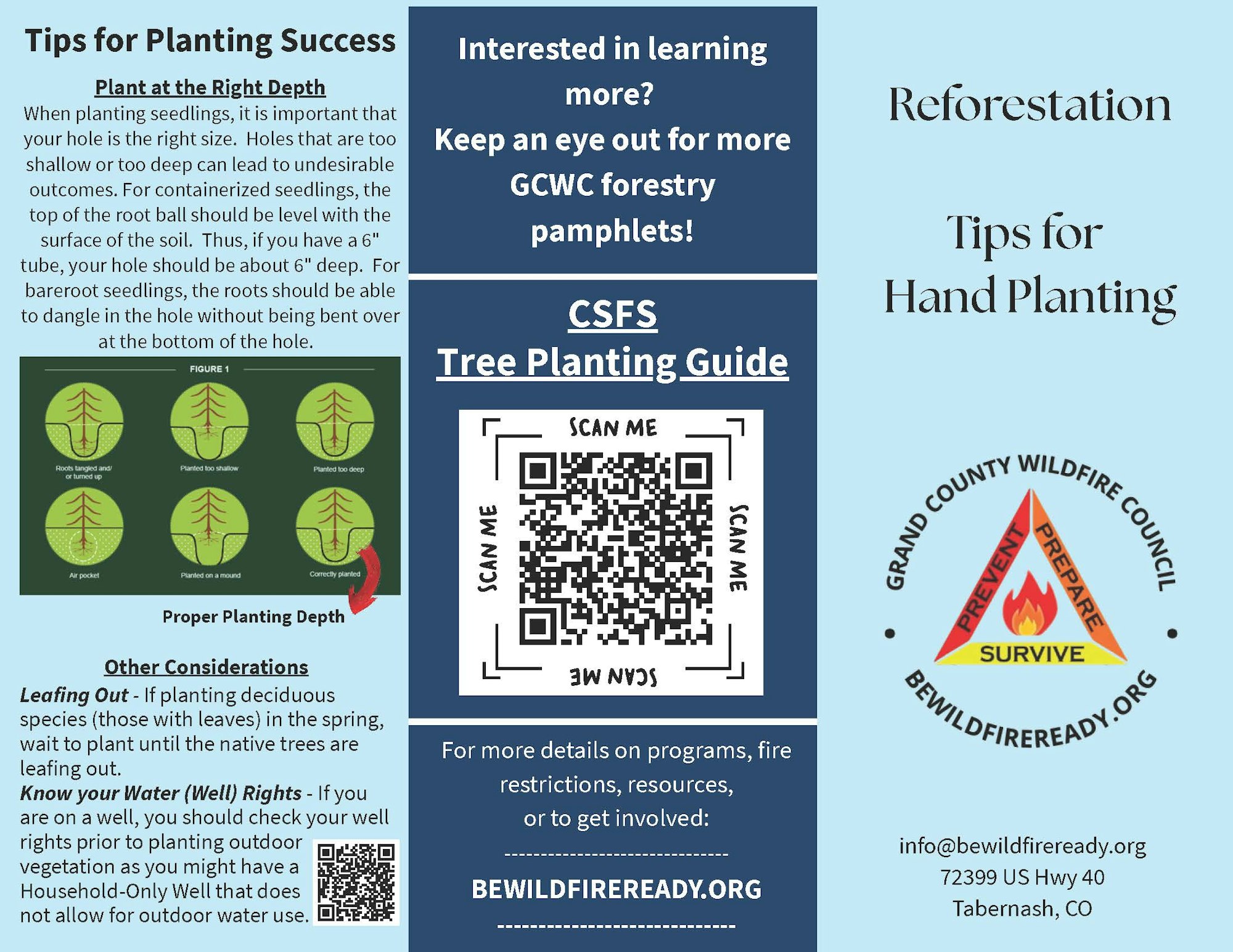 The image provides tips for planting seedlings, emphasizing proper depth and water rights, alongside resources for reforestation.