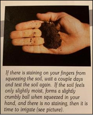 May contain: soil, body part, finger, hand, and person
