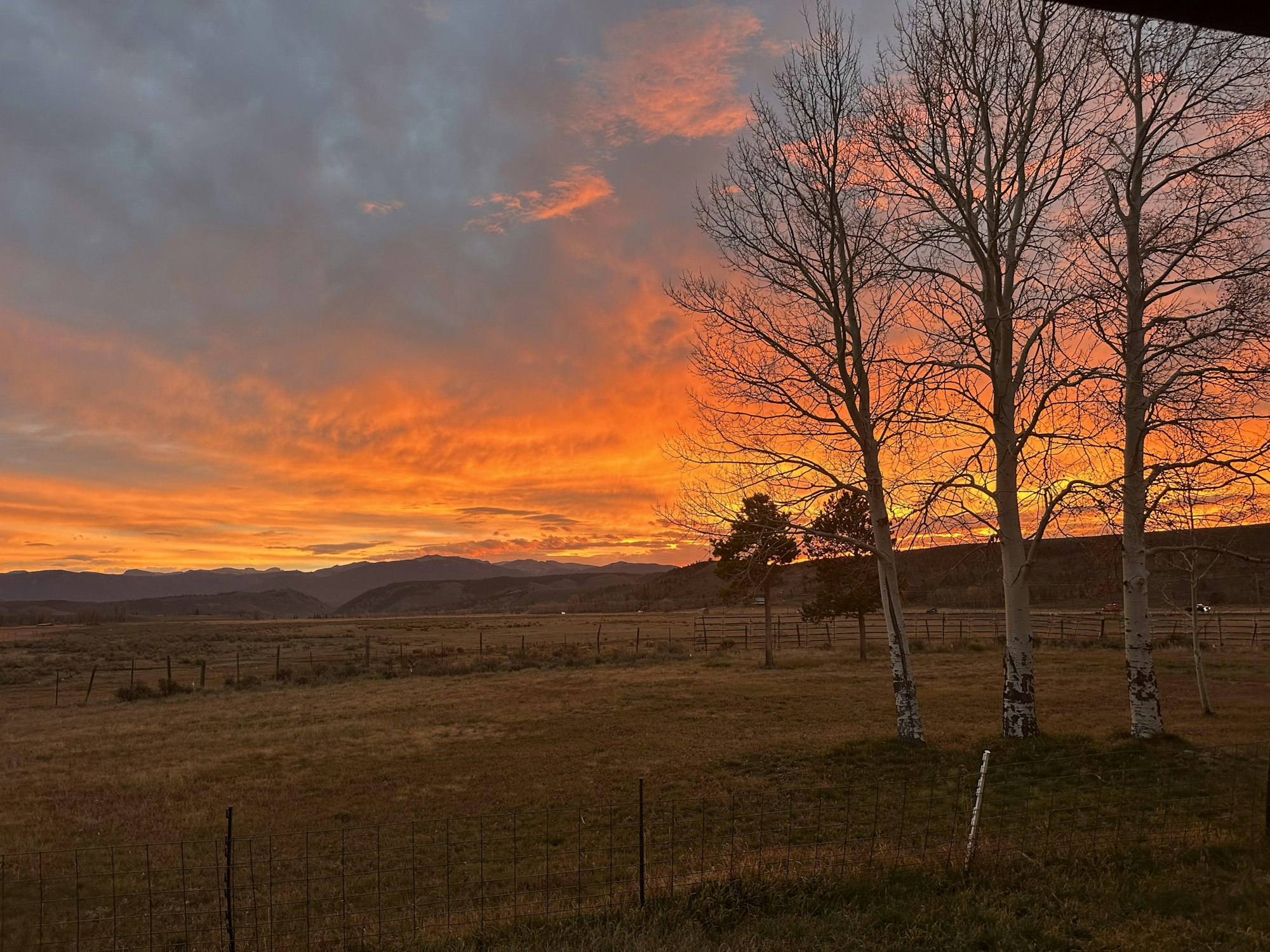 A vibrant sunset over a rural landscape with leafless trees and distant hills.