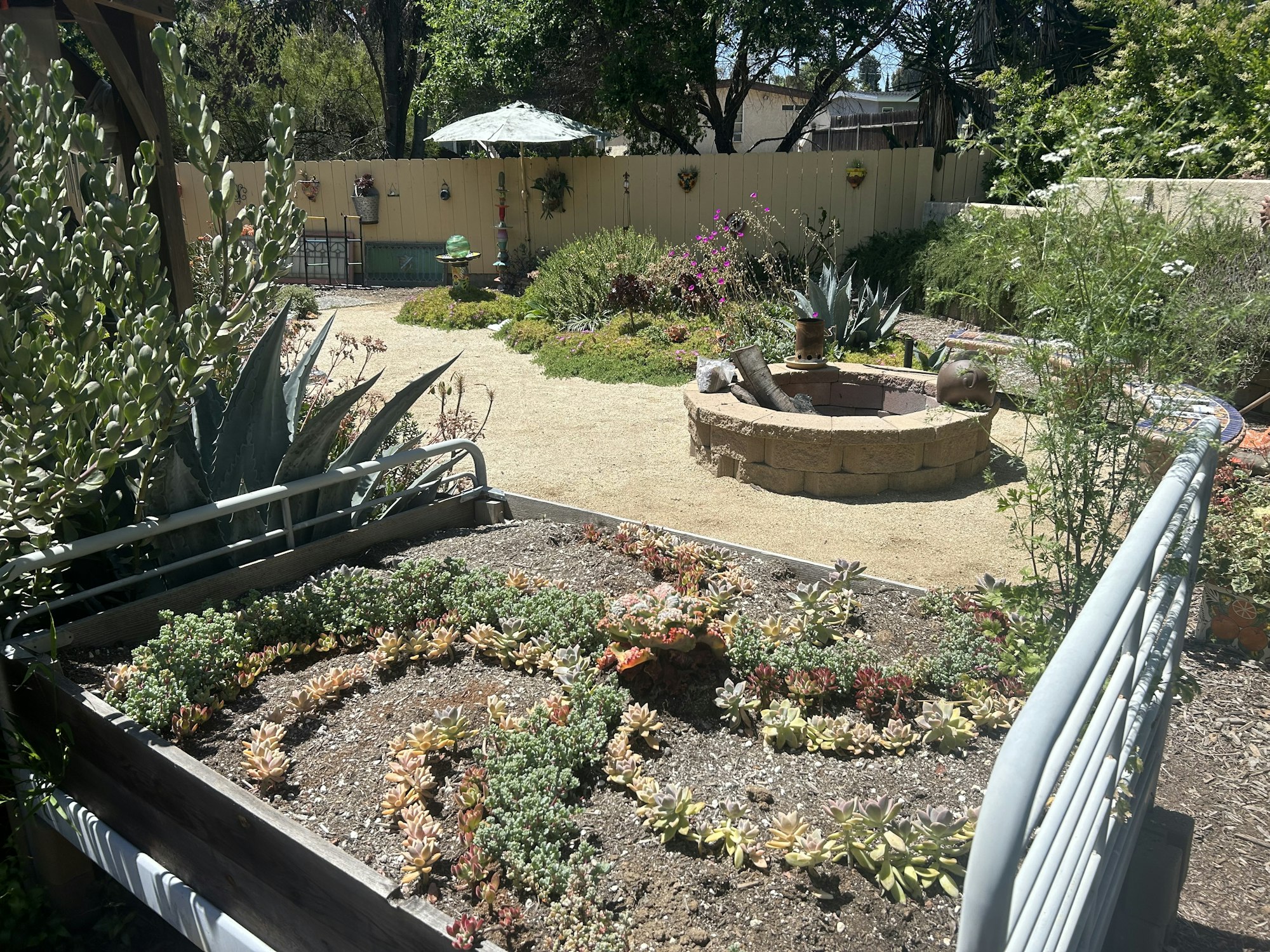 A sunlit garden with succulents, a fire pit, and a gazebo in the background.