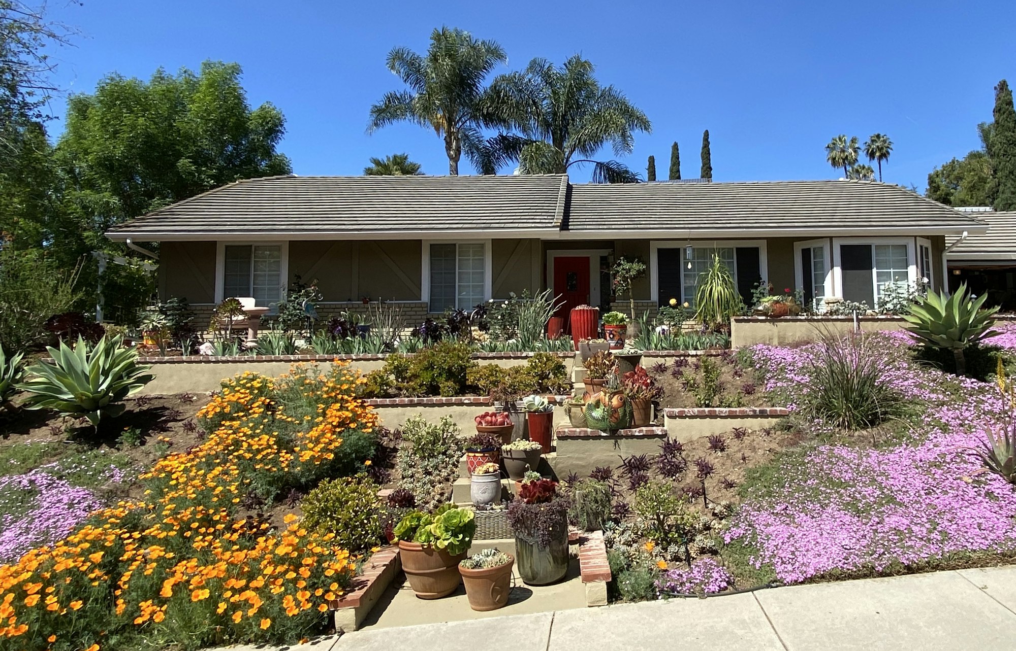 May contain: yard, nature, outdoors, patio, garden, and porch