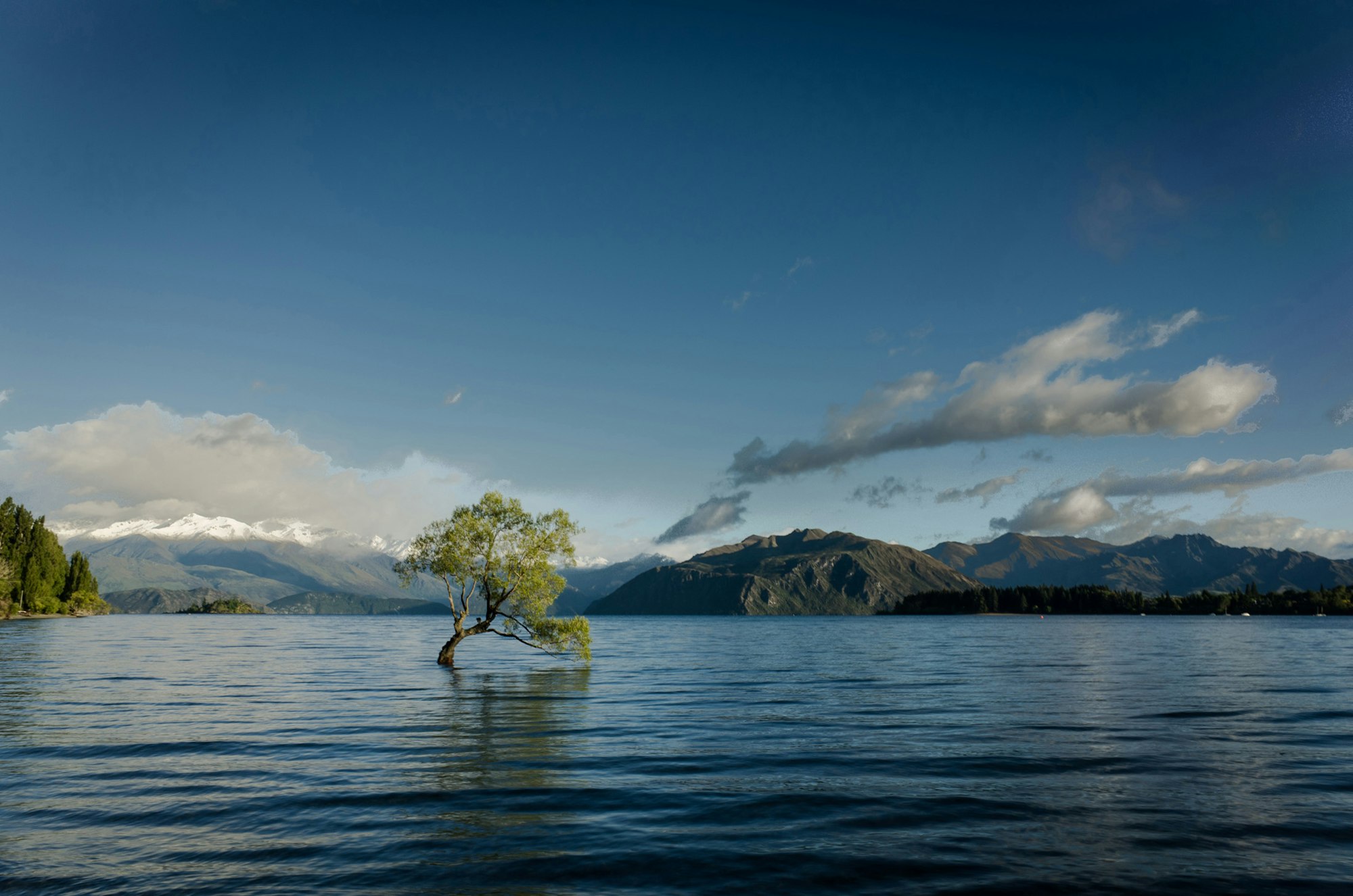 Photograph of Lake Henshaw