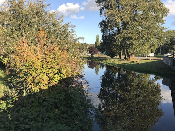 A serene riverside scene with trees and colorful foliage reflecting in the water under a bright blue sky.