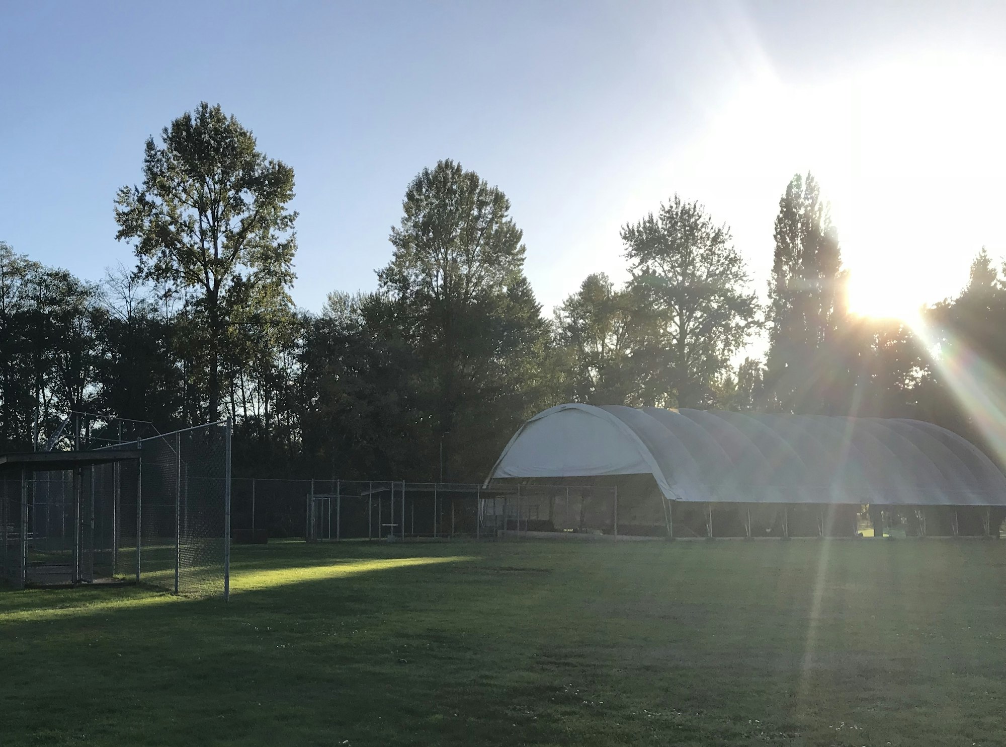 May contain: light, flare, sunlight, plant, grass, and tent