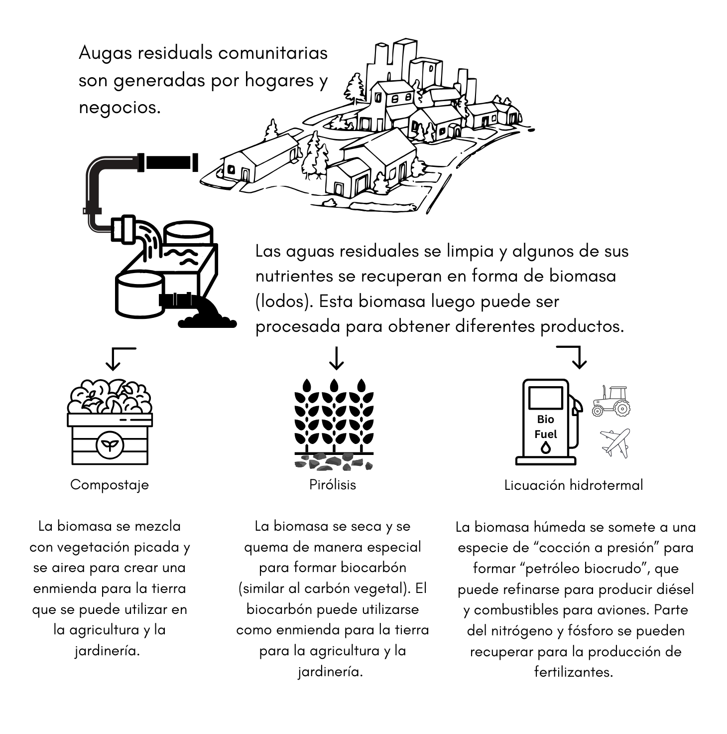 Proceso de tratamiento y conversión de aguas residuales en biomasa: compostaje, pirólisis y licuación hidrotermal para crear biocombustibles.