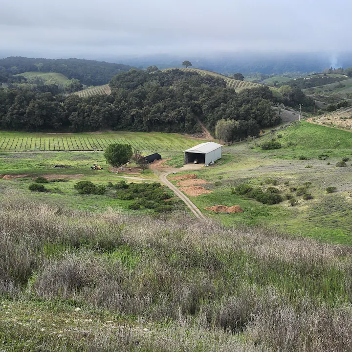 A scenic landscape featuring green fields, a barn, and a winding path, likely part of a vineyard or rural area.
