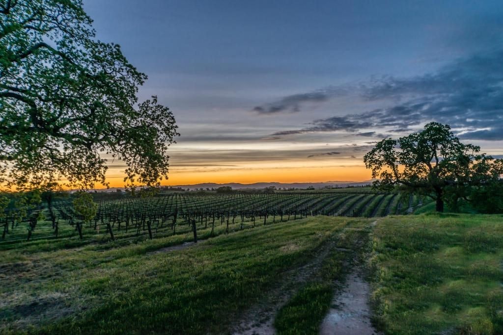May contain: nature, outdoors, countryside, farm, and rural