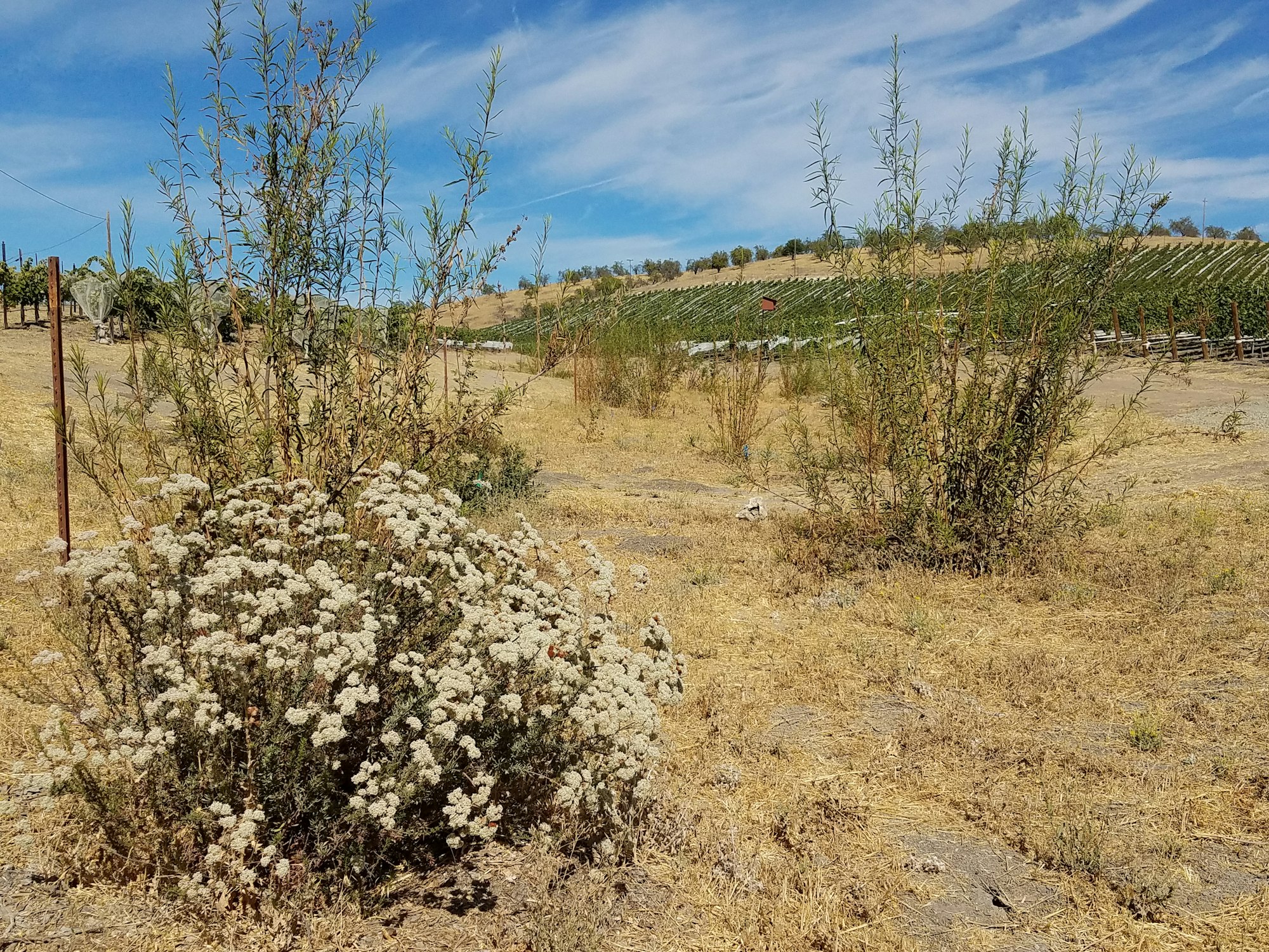 May contain: ground, grass, plant, road, dirt road, gravel, outdoors, land, and nature