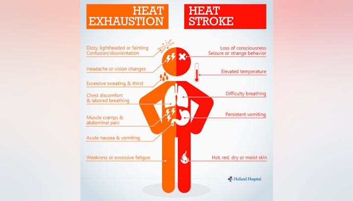 An infographic comparing symptoms of heat exhaustion and heat stroke.