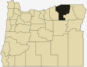 image of Oregon with Umatilla County in black