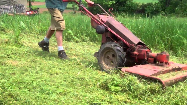 May contain: human, person, lawn mower, tool, outdoors, grass, plant, and nature