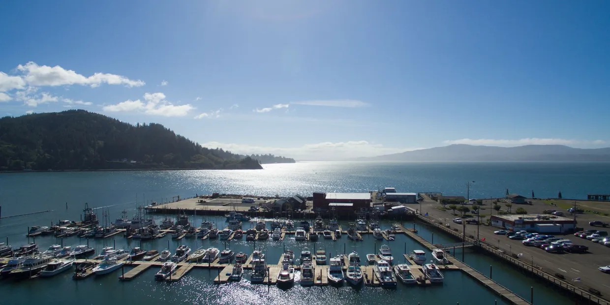 May contain: water, waterfront, harbor, pier, marina, outdoors, nature, boat, transportation, and vehicle