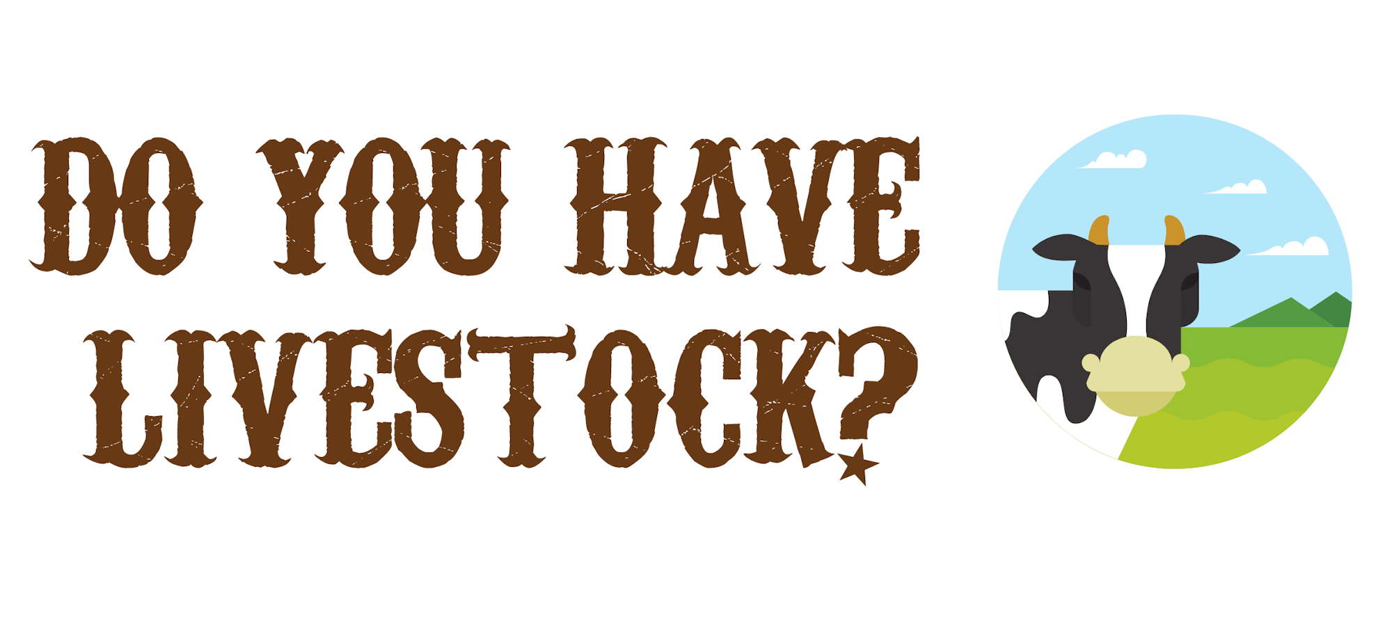 May contain: animal, cattle, cow, livestock, and mammal