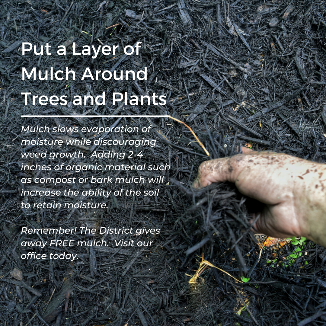 Image explaining the use of mulch as a water saving tool