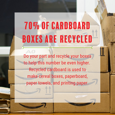 May contain: cardboard