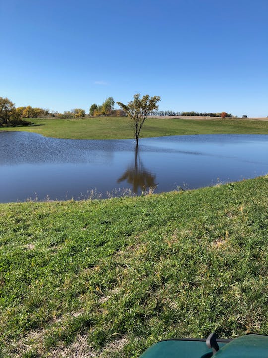 May contain: nature, outdoors, pond, water, scenery, grass, plant, lake, field, and tree