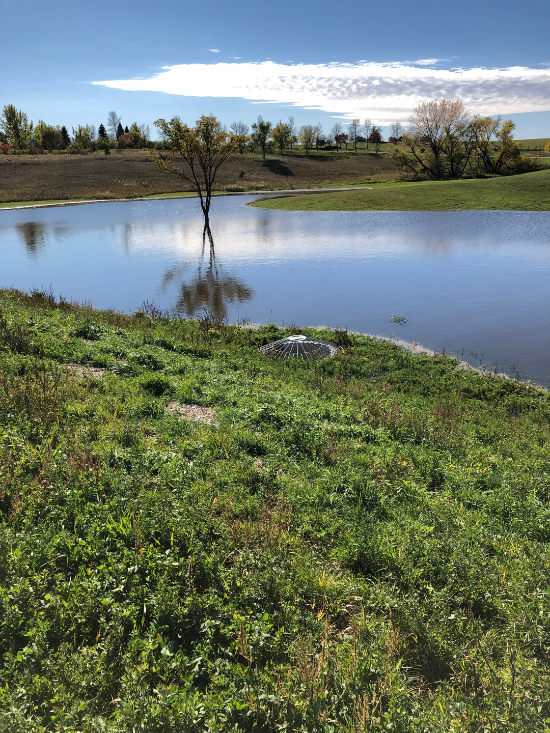 May contain: nature, outdoors, pond, water, land, field, grassland, scenery, grass, and plant