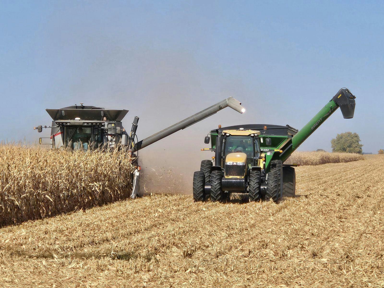 A combine harvester gathers crops; a tractor with a grain cart collects the yield in a cornfield.