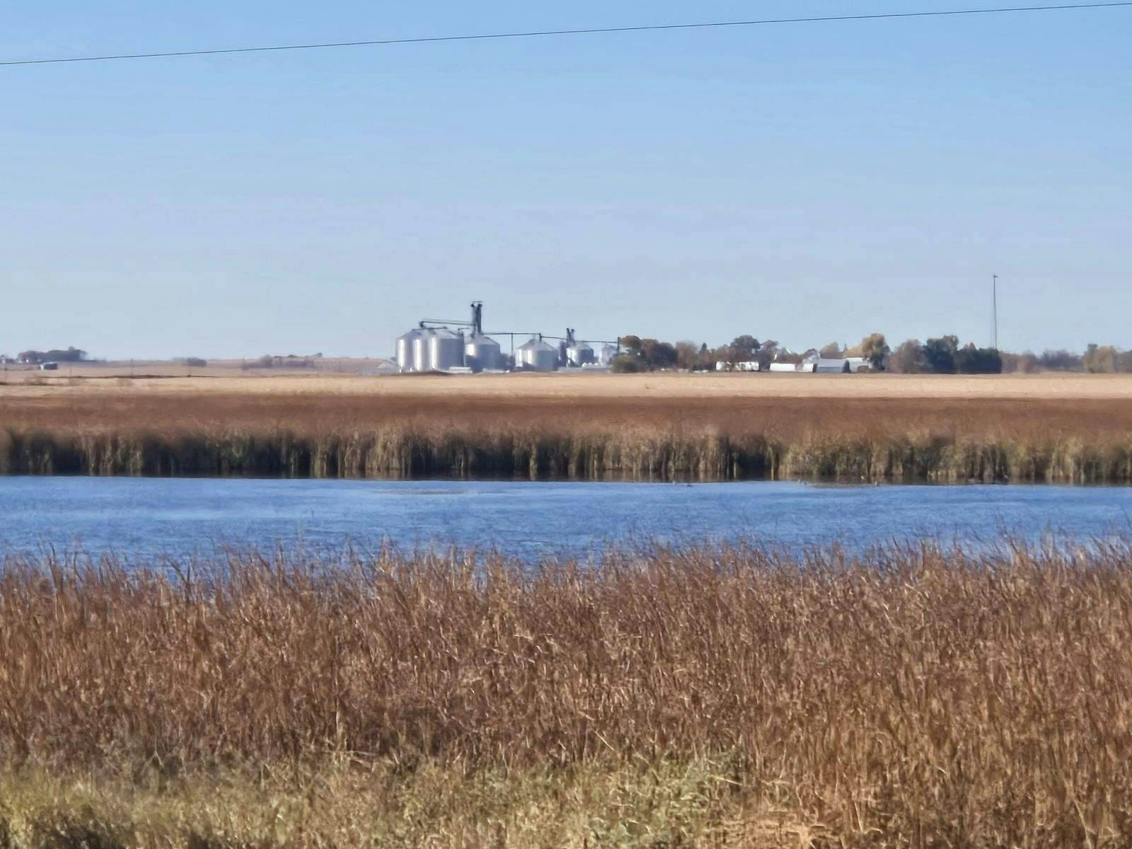 A lake with reeds in the foreground, farmland with silos and buildings in the background under a clear blue sky.