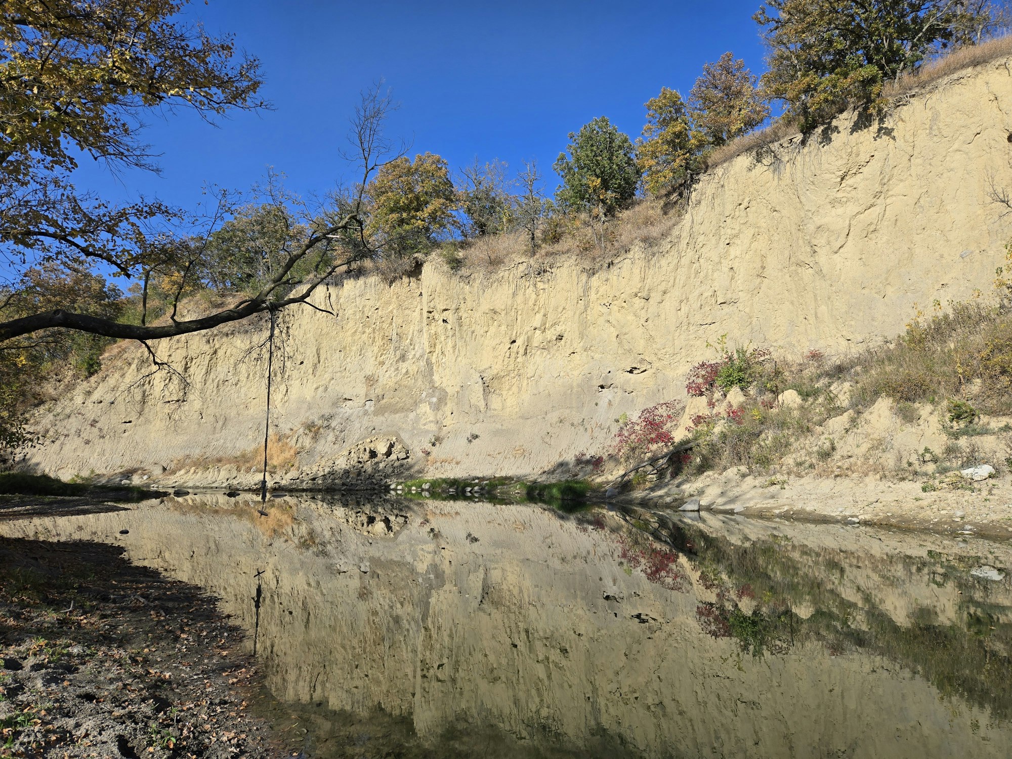 A cliff with trees reflects in a calm river below under a clear blue sky.