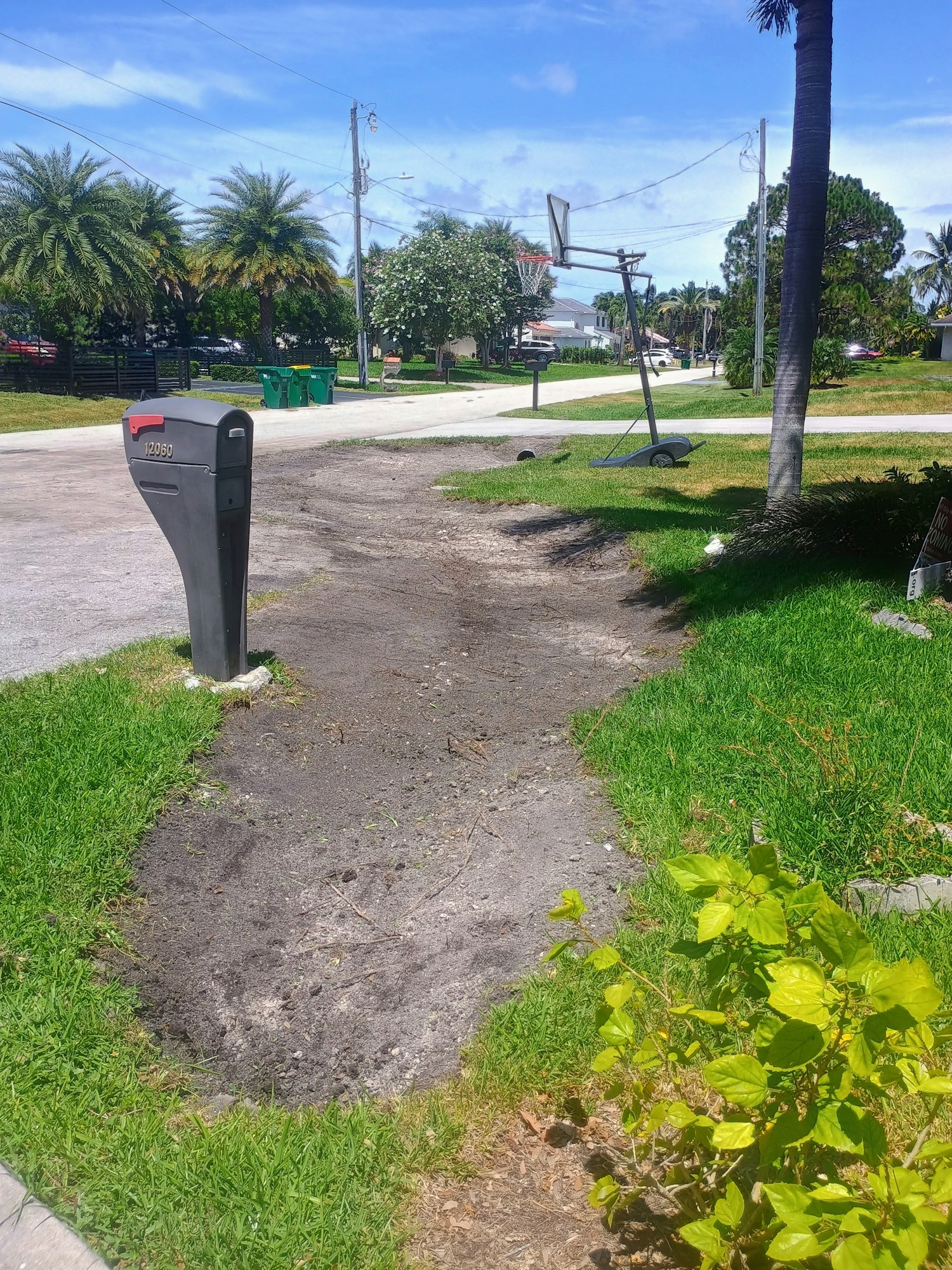 Mailbox, dirt path, basketball hoop, and a suburban street with palm trees and greenery.