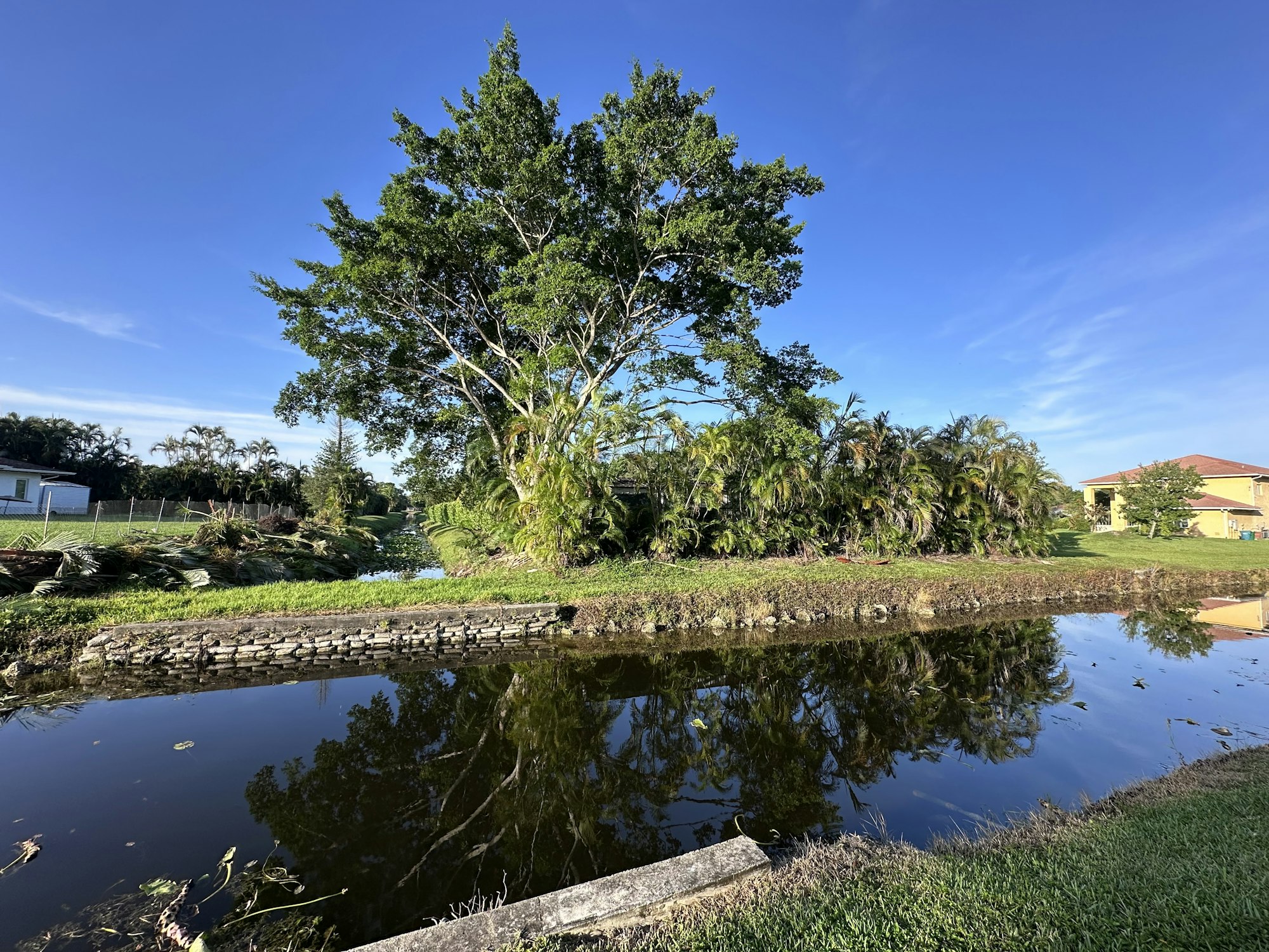 A serene scene with a tree, a canal, and houses under a clear blue sky, reflecting in the water.
