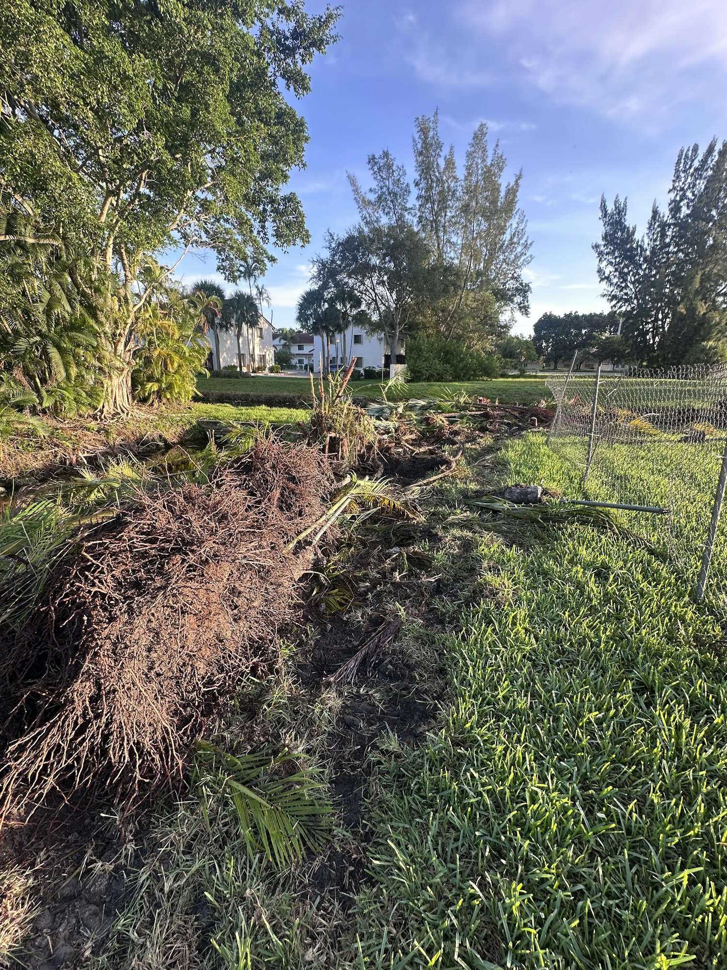 Fallen tree in a garden with a fence and a house in the background on a clear day.