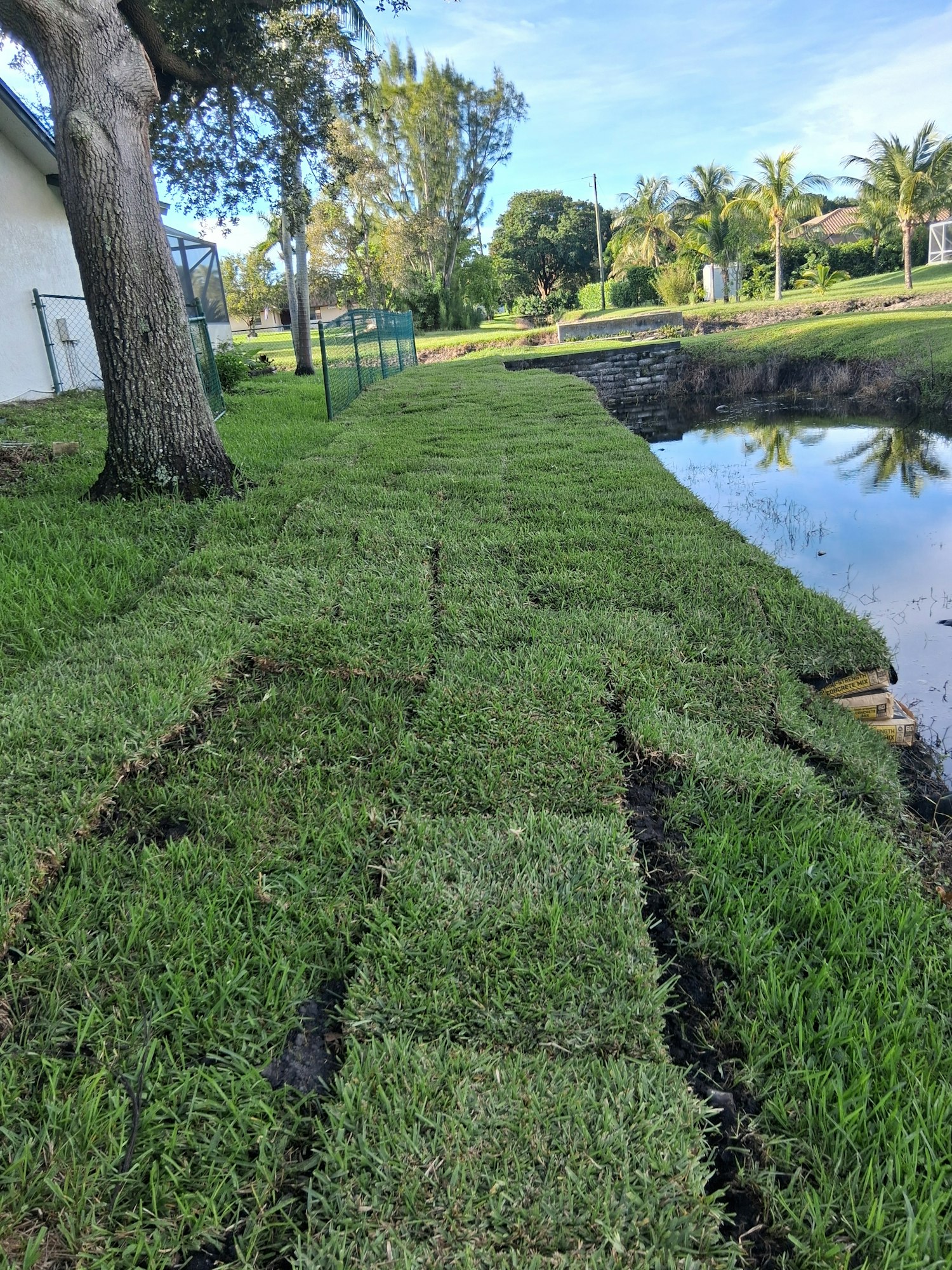Freshly laid grass sods along a sloped riverbank, with a tree and houses in the background.