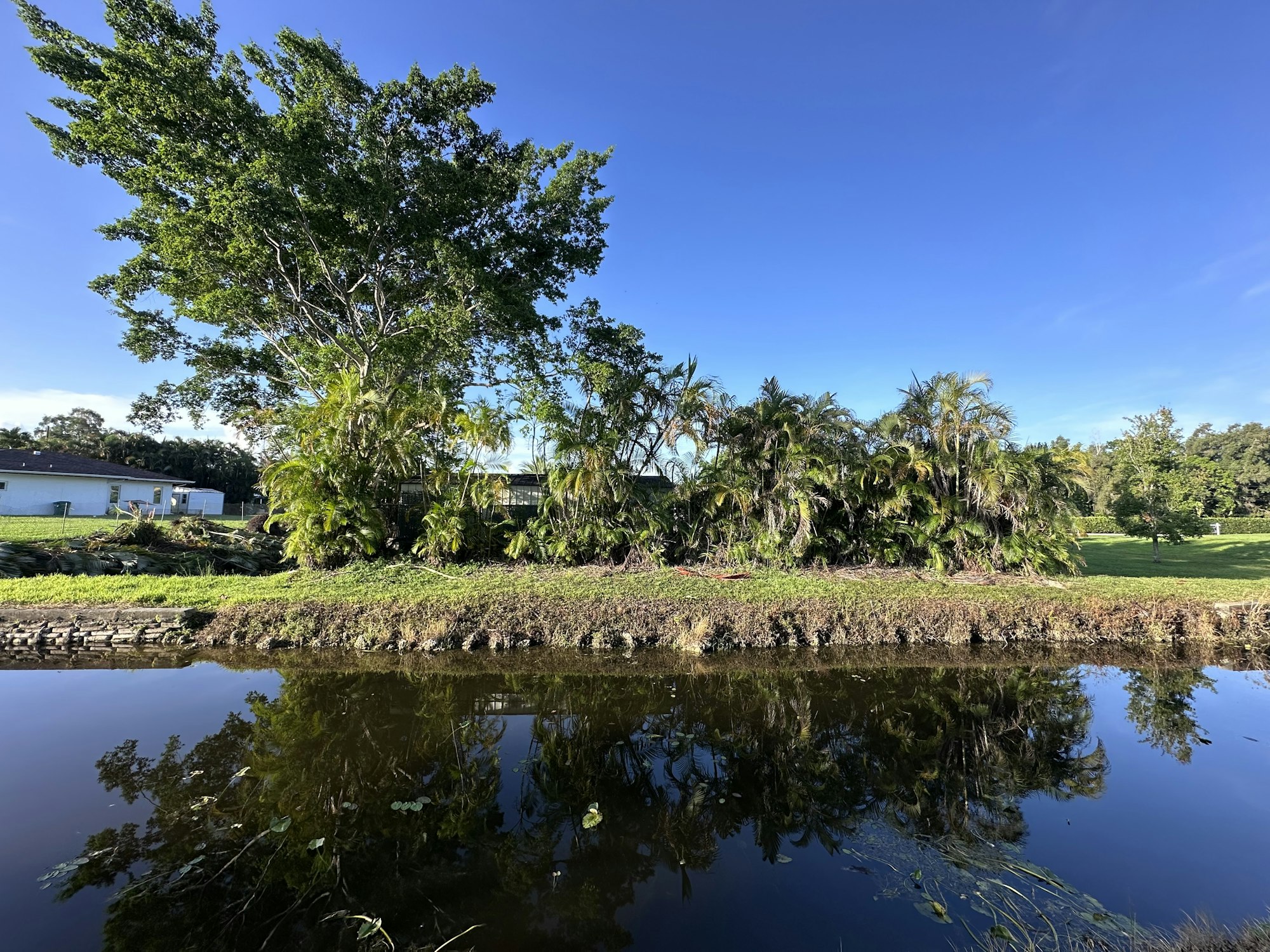 A serene landscape with trees, shrubs, and a house reflecting in a calm body of water under a clear blue sky.
