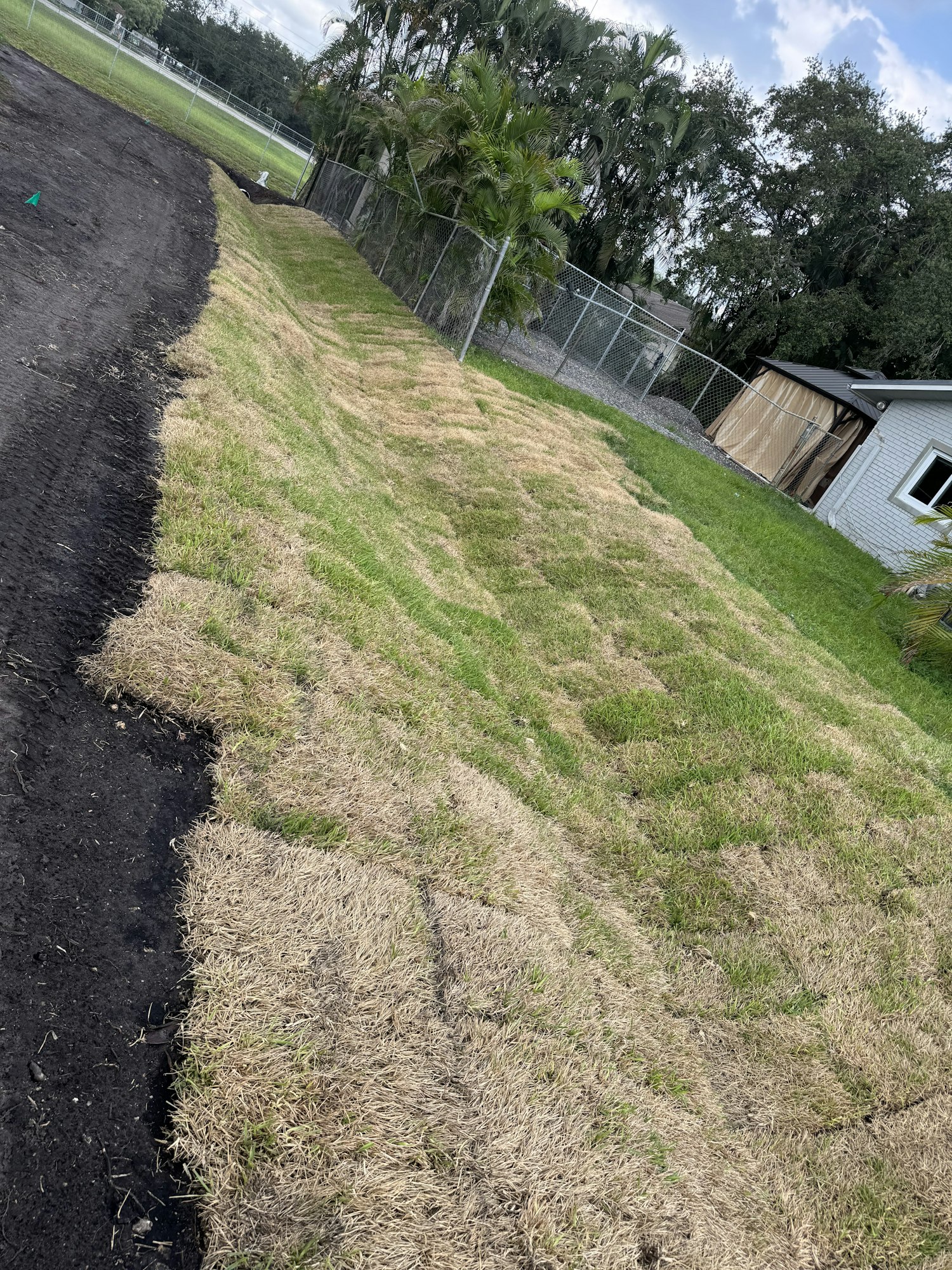 A freshly sodded lawn with patches of grass beside a house and fenced area.