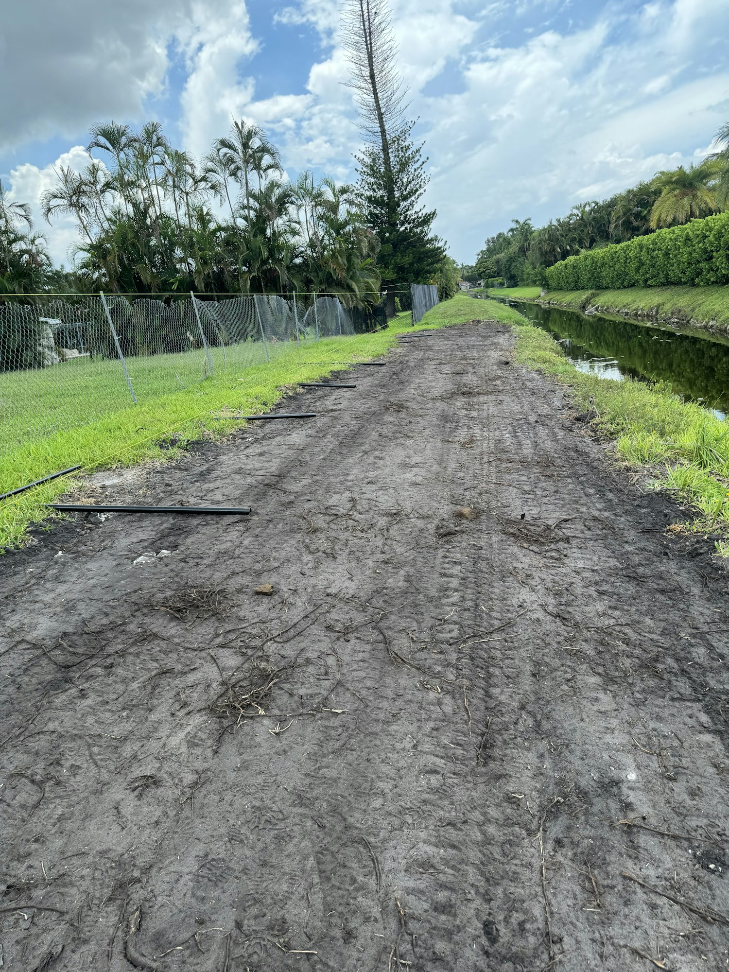 Dirt path with tire tracks, grass and trees on the sides, cloudy sky above.