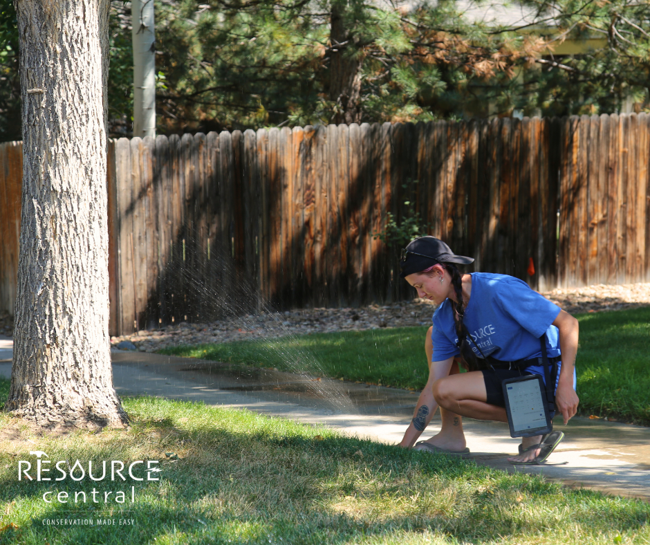 A person inspects a lawn, possibly checking irrigation, with a tablet in hand, surrounded by greenery and a wooden fence.