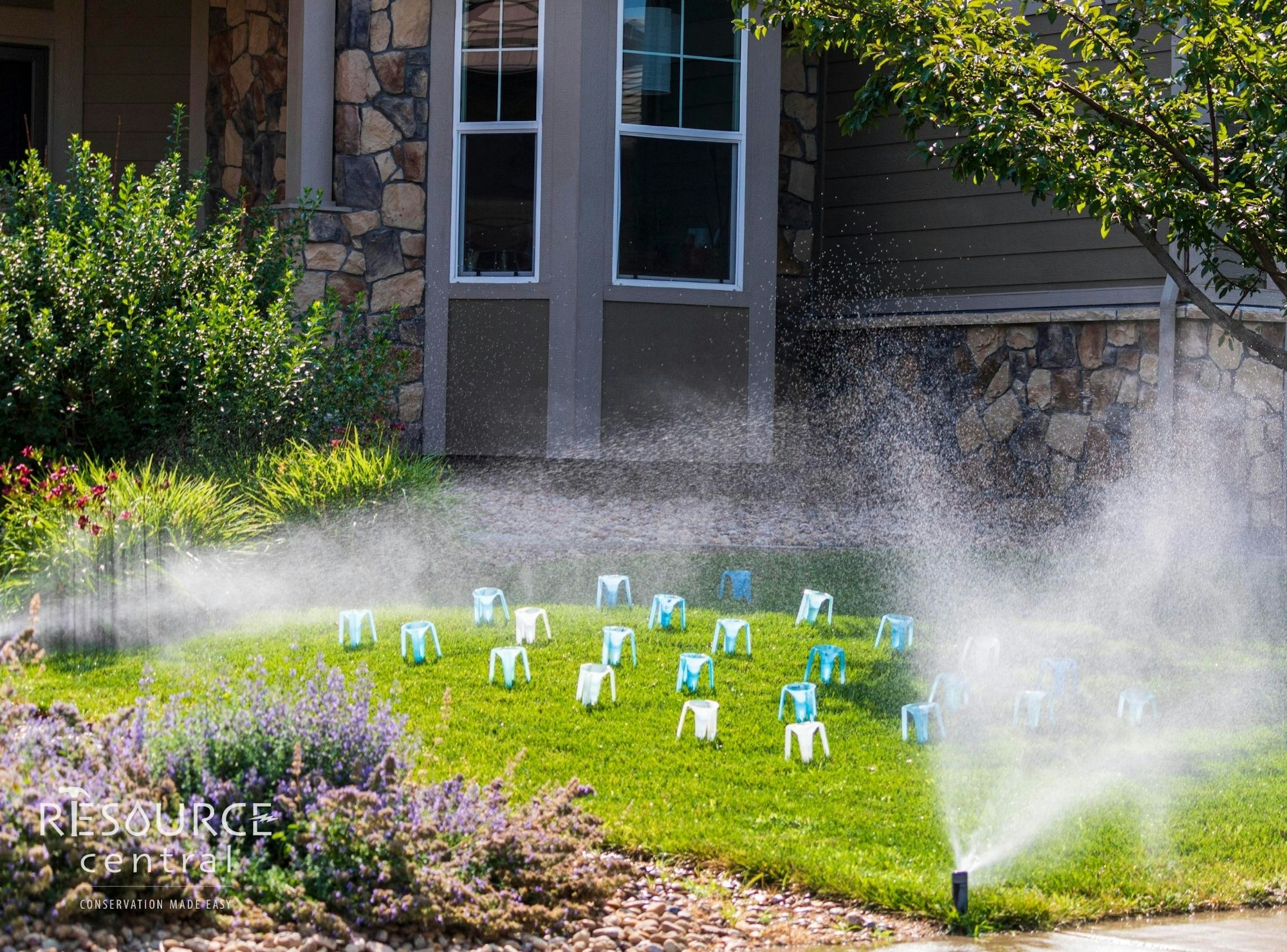 A lawn with blue and white mini stools arranged in rows, with sprinklers watering the grass in front of a building.