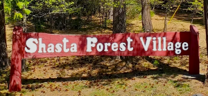 The image shows a sign reading "Shasta Forest Village" set among trees in a forested area.