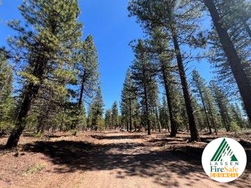A dirt path through a forest with tall trees under a clear blue sky, featuring the Lassen Fire Safe Council logo.