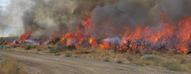 May contain: fire, painting, art, and forest fire