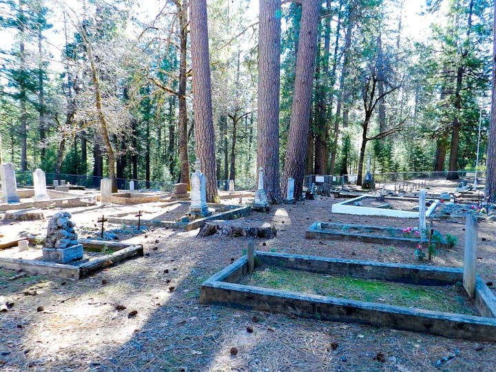 A sunlit, peaceful cemetery amidst a forest with tall pine trees, gravestones, and wooded grave markers.