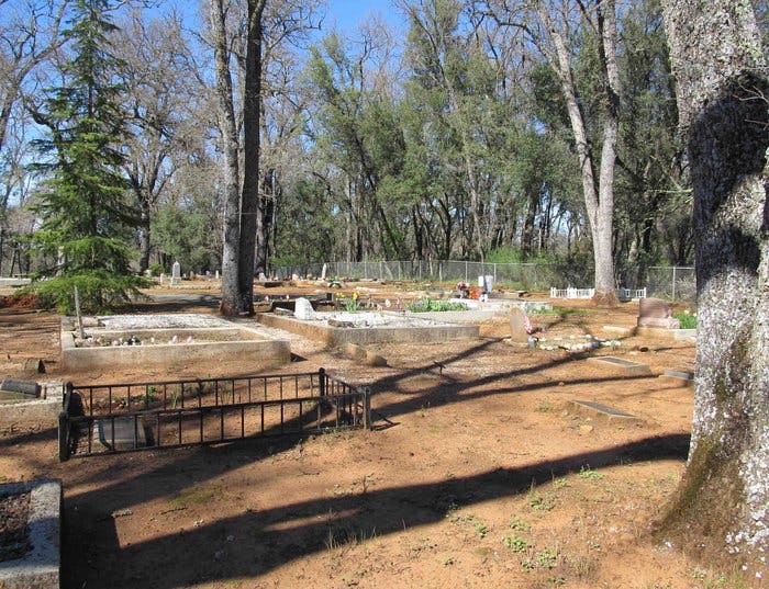 A sunny view of a cemetery with trees and grave markers.