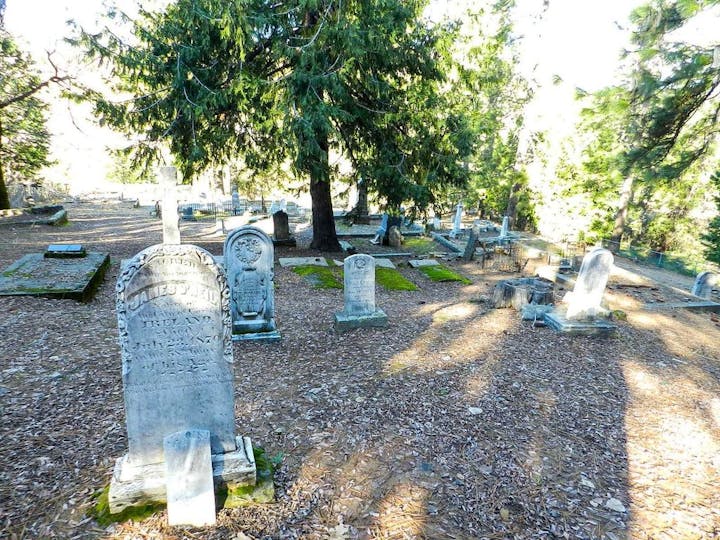 A sunlit cemetery with various gravestones and trees casting shadows.