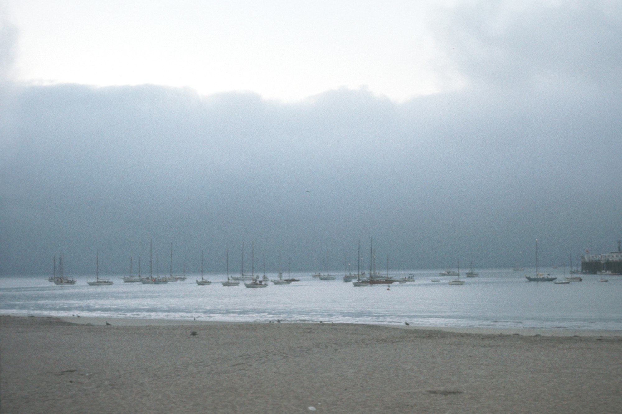 Beachfront with multiple sailboats on the water under a cloud-covered sky, appearing calm and overcast.
