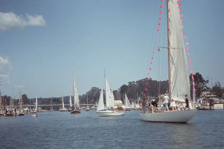 Sailboats on water with people aboard, decorated masts, sunny day with blue sky.