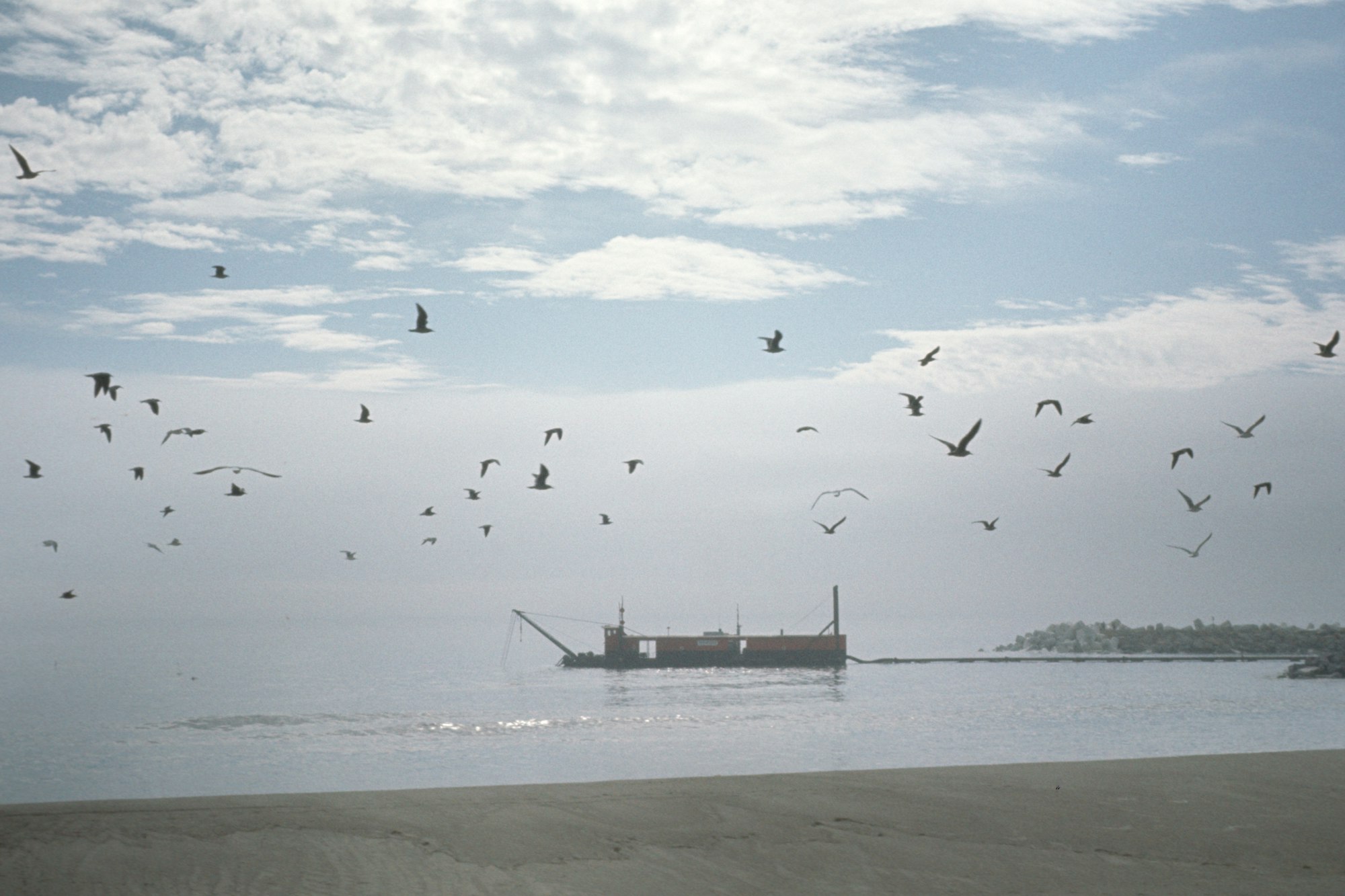 A boat on the water with seagulls flying overhead, near a sandy shore under a partly cloudy sky.