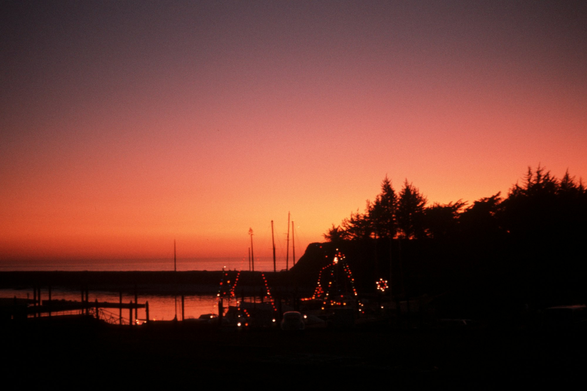 A sunset with silhouetted trees and festive lights, possibly at a marina.