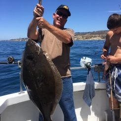 May contain: animal, fish, halibut, sea life, and person