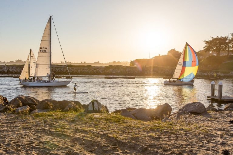 Picture of the Wednesday night sailboat races at sunset