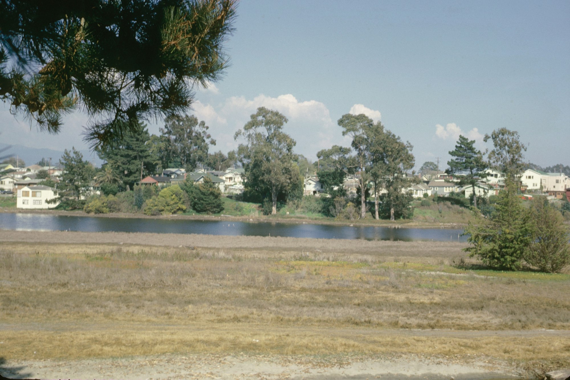 A scenic view with a lake, trees, and houses in the background.